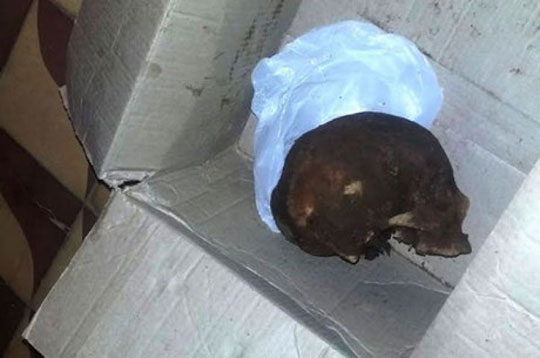 Ceará: Homem retira crânio do irmão do túmulo e entrega a mãe