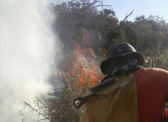 Incêndios na Chapada Diamantina destroem vegetação