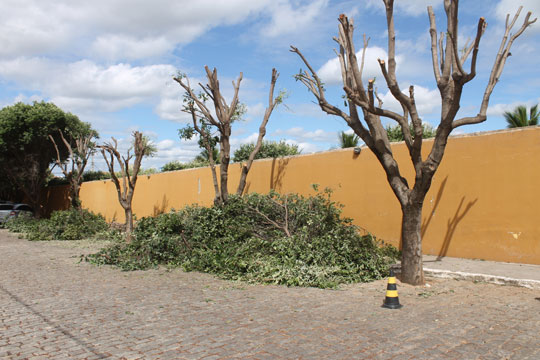 Clube Social de Brumado corta árvores, é notificado, mas não será penalizado pela prefeitura