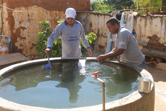 Peixe ajuda a diminuir índice de infestação do aedes-aegypti em Brumado