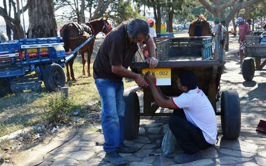 Com lei que ordena carroças, mais de 300 pessoas já estão inscritos em curso de trânsito em Conquista