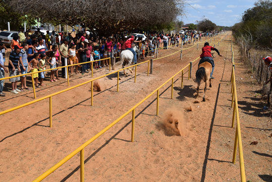 Brumado: Retorno da tradicional corrida de cavalo leva grande público ao Campo Seco