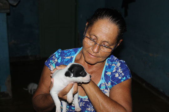 Costureira se dedica a resgatar cães e gatos abandonados nas ruas de Brumado