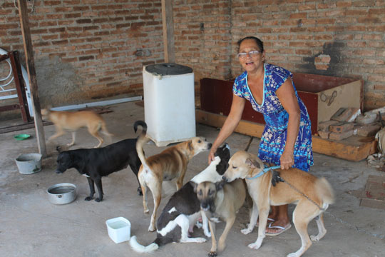 Costureira se dedica a resgatar cães e gatos abandonados nas ruas de Brumado