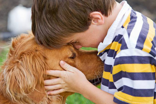 Crianças preferem animais de estimação a irmãos, diz estudo