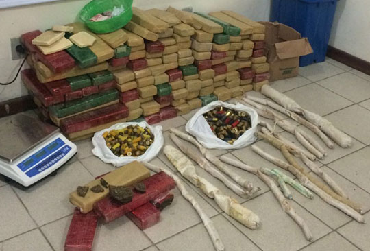 Polícia Militar apreende 130 kg de drogas em Vitória da Conquista