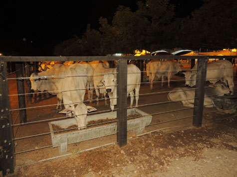 Começa a ExpoBrumado 2014