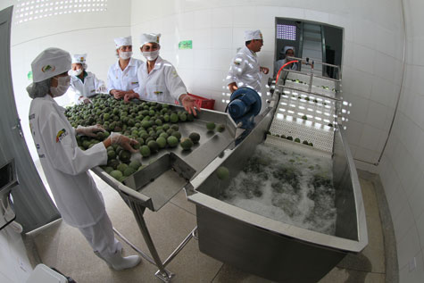 Wagner inaugura indústria para processar frutas em Mirante