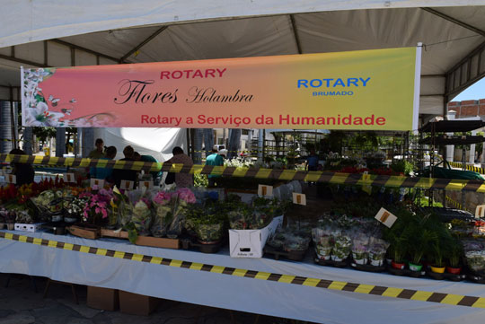 Rotary Club e Holambra promovem Festival de Flores em Brumado