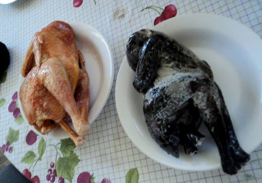 Frango de carne negra é pesquisado na Uesb de Itapetinga