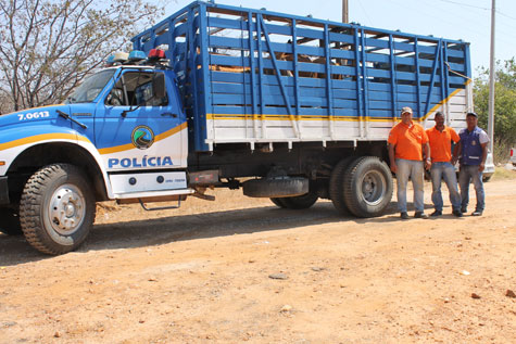 Brumado: PRE realiza apreensão de animais na BA-262