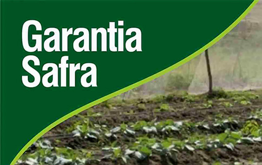 Agricultores familiares têm até domingo (20) para aderir ao Garantia Safra