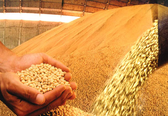 IBGE prevê safra de grãos 16,1% maior para 2017