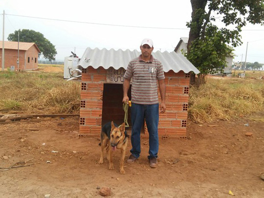 Tocantins: Homem instala ar-condicionado em casinha de cadela de estimação