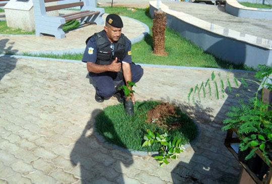 Brumado: Guardas municipais promovem plantio de árvores em praças públicas
