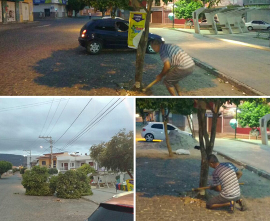 Brumado: Secretaria de meio ambiente punirá autores de corte de árvores em praça