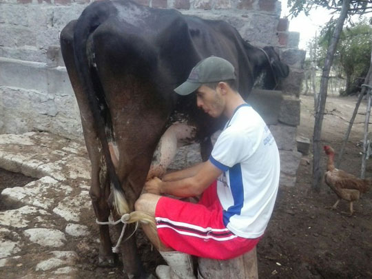 Pernambuco: Jovem concilia estudos com trabalho no campo e passa em Medicina