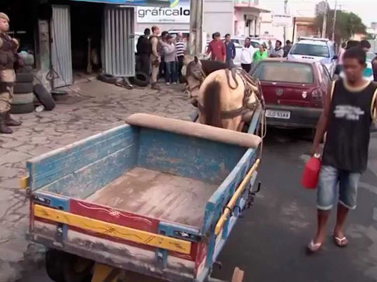 Homem é morto em borracharia durante troca de pneu de carroça em Vitória da Conquista