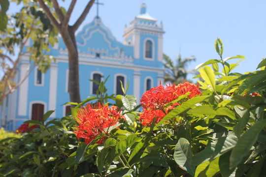 Venda de flores na Bahia movimenta R$ 200 milhões