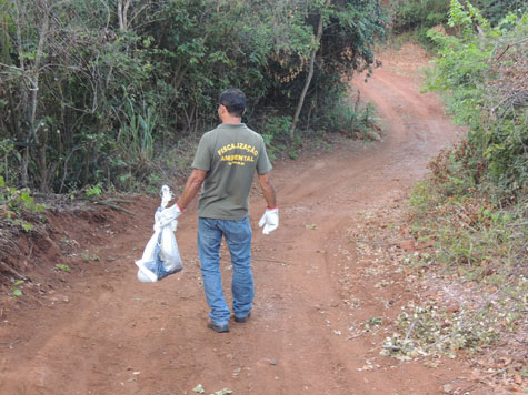 Brumado: Operários encontram iguana em obras do Minha Casa, Minha Vida