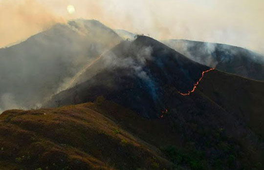 Chapada Diamantina: Incêndio atinge 15 mil hectares e ameaça biodiversidade