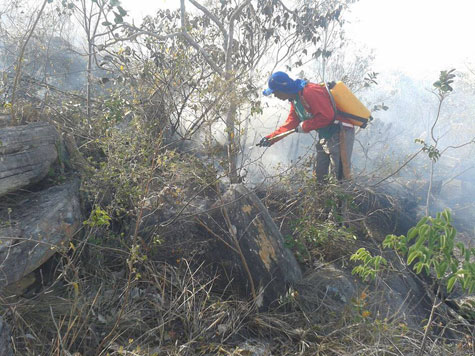 Rio de Contas: Incêndio que atingia Serra das Almas é controlado