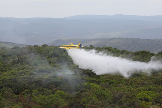 Rui Costa alinha estratégias para combate aos incêndios na Chapada Diamantina