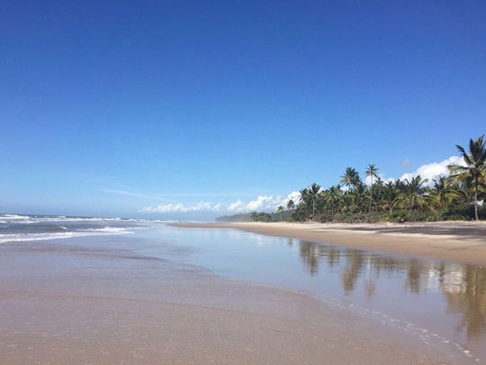Praias de Itacaré impressionam pela beleza e trilhas em Mata Atlântica