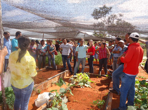 Presidente Jânio Quadros: Agricultores e agricultoras participam de intercâmbios