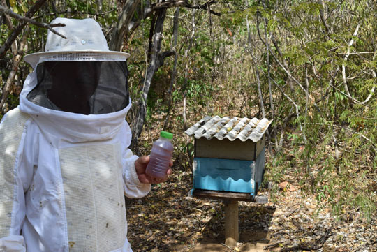 Seca, falta de investimento e abandono do estado tem prejudicado produção do mel em Brumado