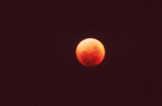 Fenômeno da Lua Sangrenta não poderá ser visto do Brasil