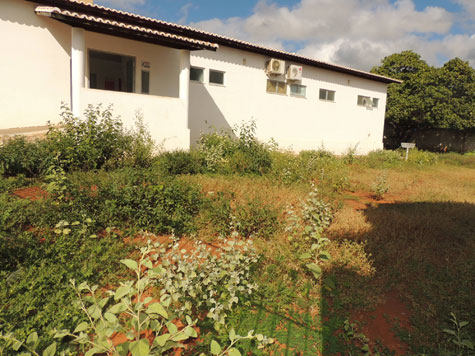 Brumado: Matagal toma conta do PSF do Bairro Olhos D'água