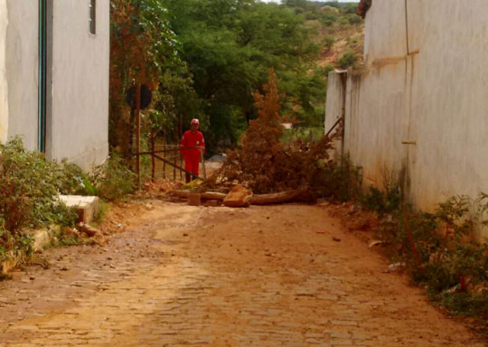 Parque Eólico de Brumado: Em busca de empregos, moradores realizam protesto em Cristalândia