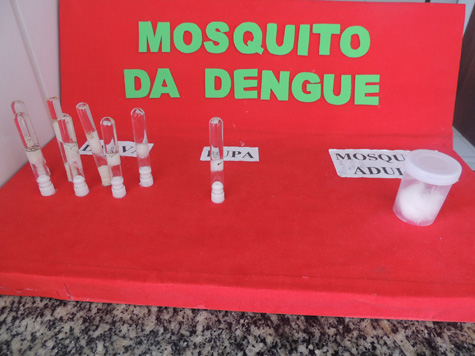 Brumado: Mosquito da dengue estava se procriando em copo d'água com dentadura