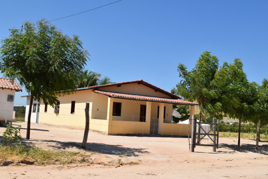 Neem ganha preferência popular em Brumado, mas meio ambiente dá alerta sobre plantio rural