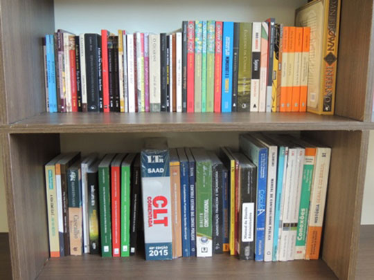Legislativo brumadense adquire novos livros para acervo da biblioteca pública