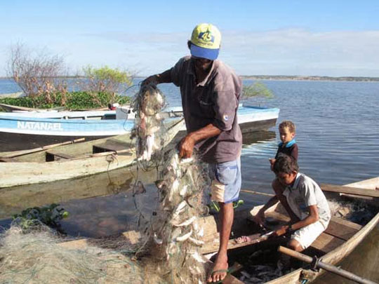 'Bolsa Pescador' é suspensa temporariamente por decisão do STF