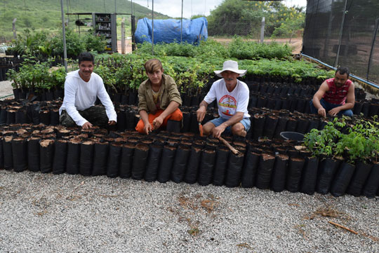 Brumado: Empresas e Senai buscam compensar impactos ambientais nas obras do Parque Eólico