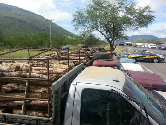 Após denúncia, PRF flagra transporte ilegal de madeira em Jequié
