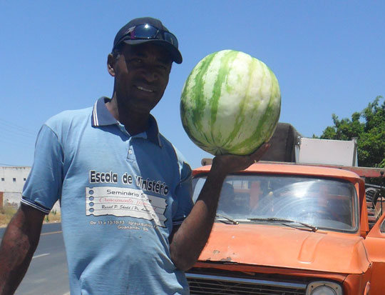 Produção de melancias cresce na cidade de Candiba