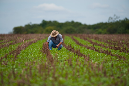 BB oferece desconto de 20% a 95% para liquidação de dívidas de produtores rurais