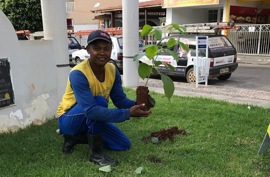 Brumado: Secretaria de Meio Ambiente realiza ação de replantio de árvore na Praça Coronel Zeca Leite