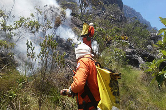 Brigadistas combatem incêndio no Parque Natural Serra das Almas em Rio de Contas