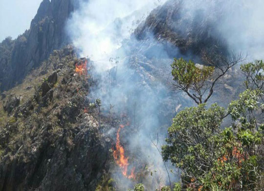 Fogo atinge área equivalente a 675 campos de futebol em Rio de Contas