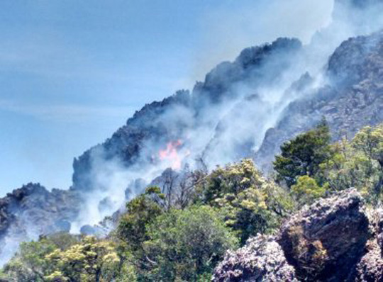 Incêndio ameaça maior devastação de área em Rio de Contas