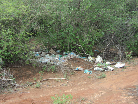 Rio do Antônio: Casos de extermínio de cães são notificados na cidade