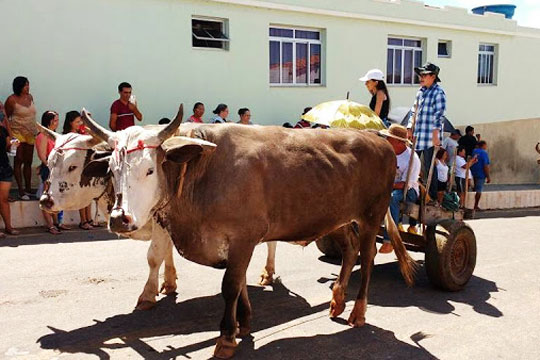 III Festival do Carro de Boi é realizado no município de Rio do Antônio