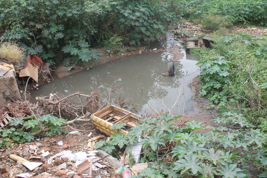 Brumado: Dia do Meio Ambiente com rio, riachos poluídos e matança de animais e umbuzeiros
