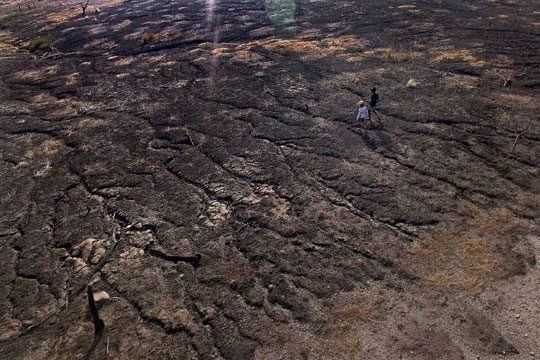 Nordeste brasileiro enfrenta a maior seca de sua história