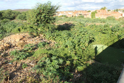 Brumado: Moradores do São Jorge se sentem ameaçados com sujeira no Rio do Antônio